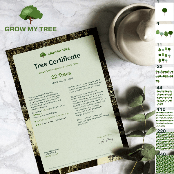 GROW MY TREE – Bäume pflanzenBild