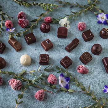 Erleben Sie Schokolade zum ersten Mal: 20% Rabatt bei Max Chocolatier