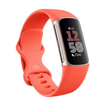 Fitbit CHARGE 6 Aktivitätstracker